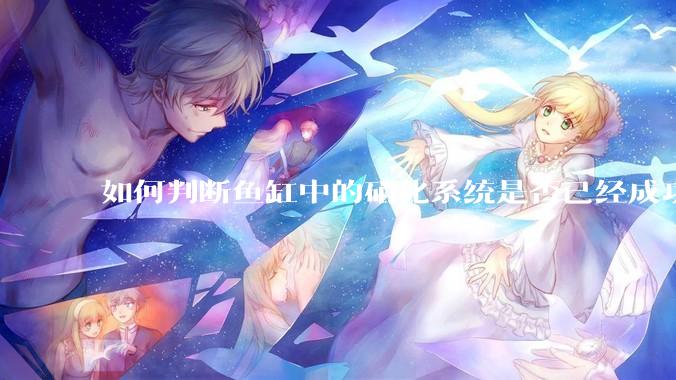 如何判断鱼缸中的硝化系统是否已经成功建立？