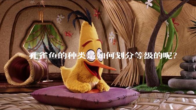 孔雀鱼的种类是如何划分等级的呢？