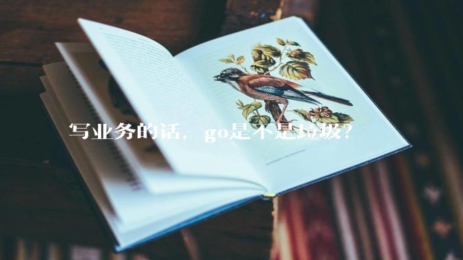 写业务的话，go是不是垃圾？