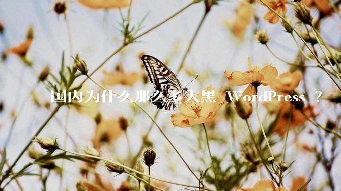 国内为什么那么多人黑 WordPress ？