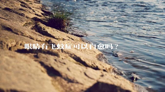 眼睛有飞蚊症可以自愈吗?