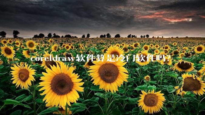 coreldraw软件算是冷门软件吗？
